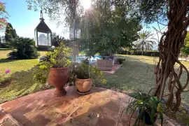 Image 4 thumb