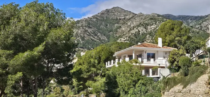 Продажа  отдельно стоящей виллы в Mijas 0