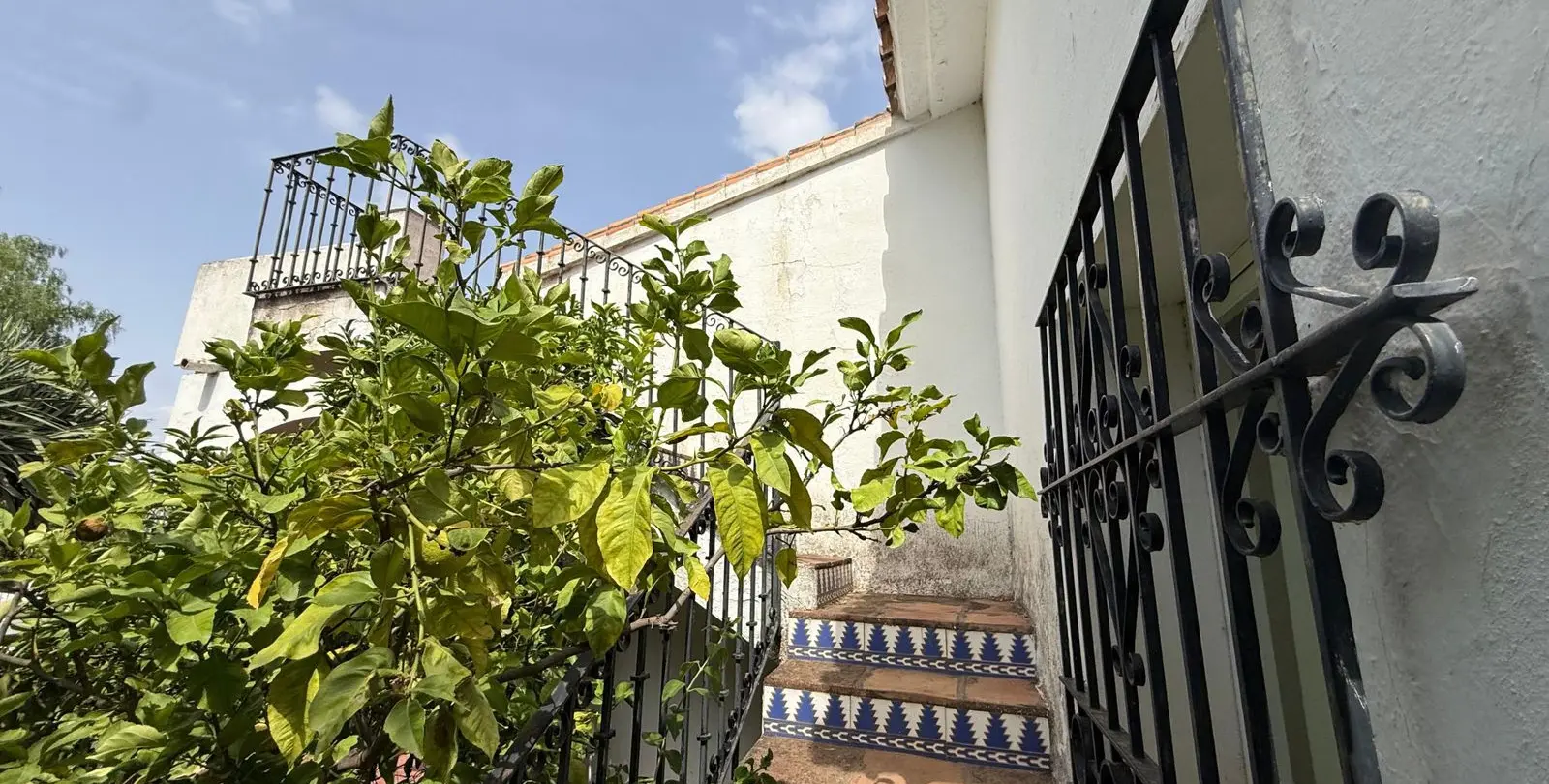 Sale of detached villa in Nueva Andalucía 16