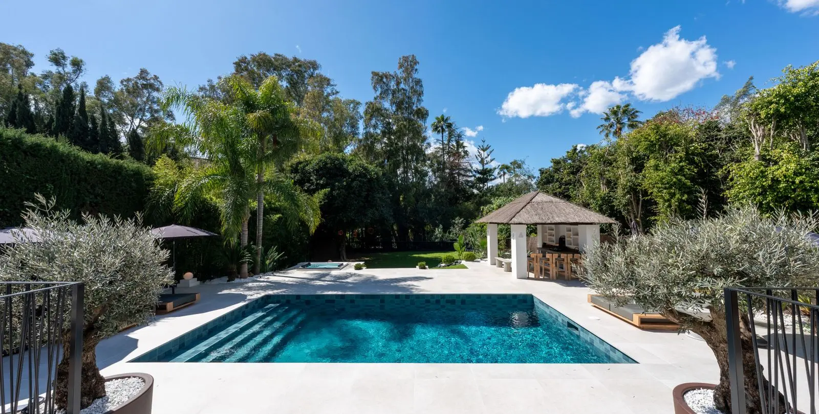 Sale of detached villa in Nueva Andalucía 9