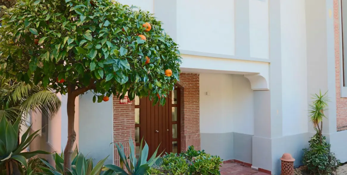 Short-term rent of detached villa in The Golden Mile 67
