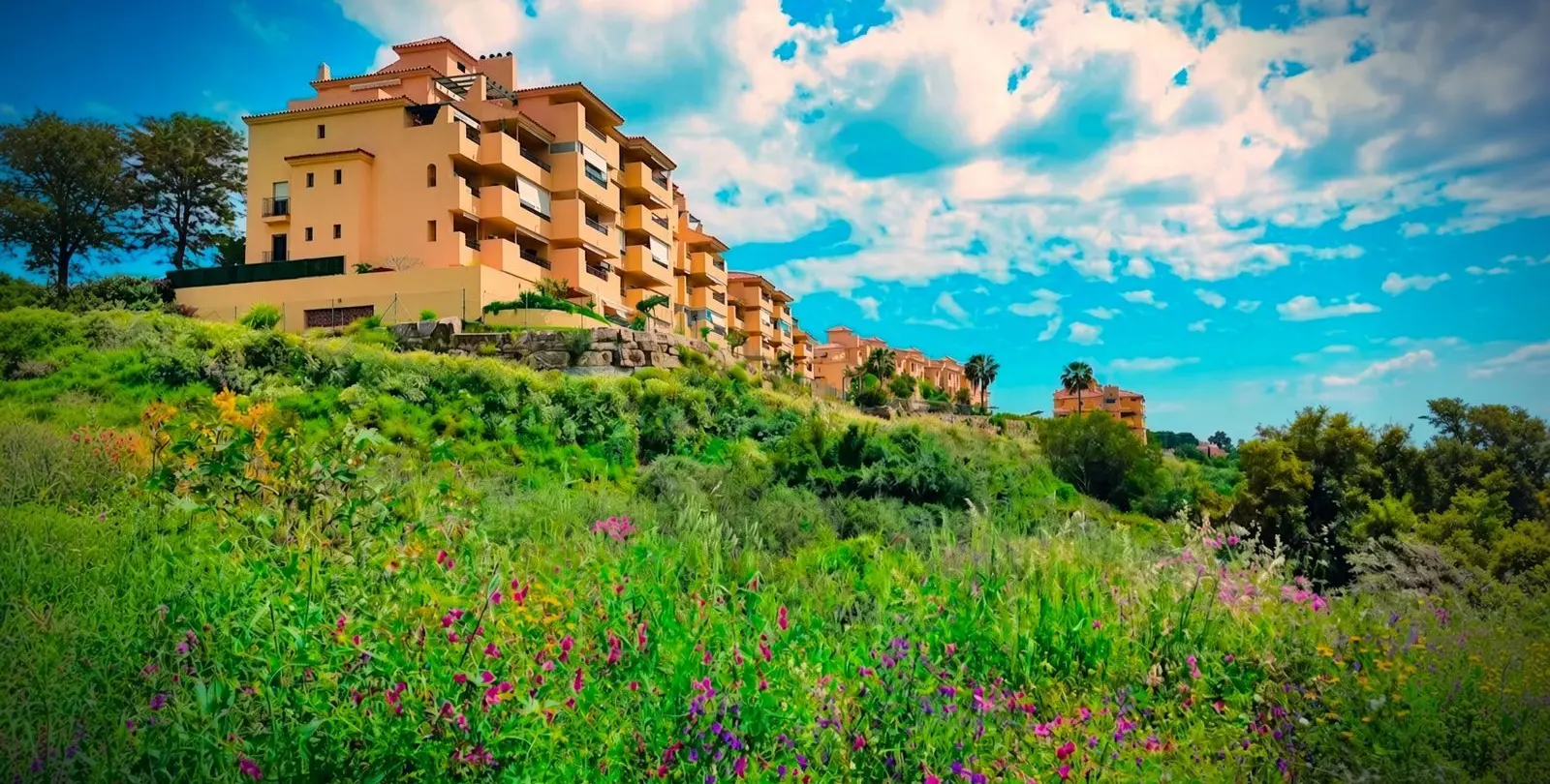 Sale of ground floor apartment in Estepona 2