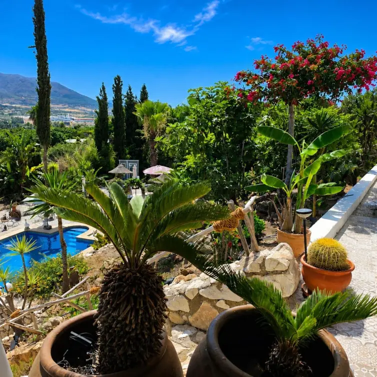Sale of detached villa in Alhaurín de la Torre