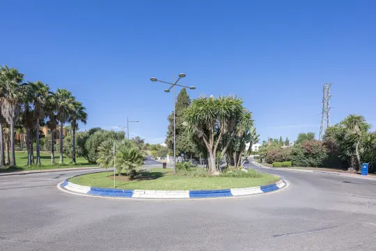 Image 31 thumb