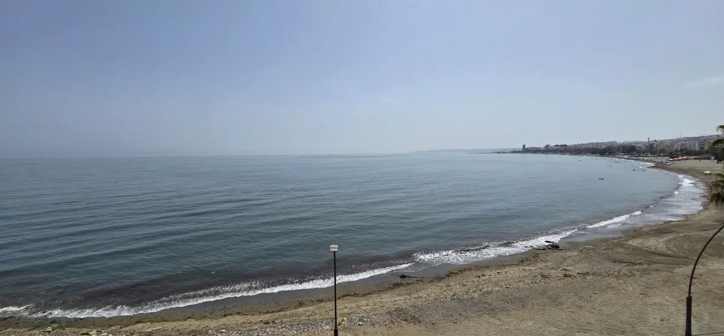 Venta de local comercial en Estepona 0