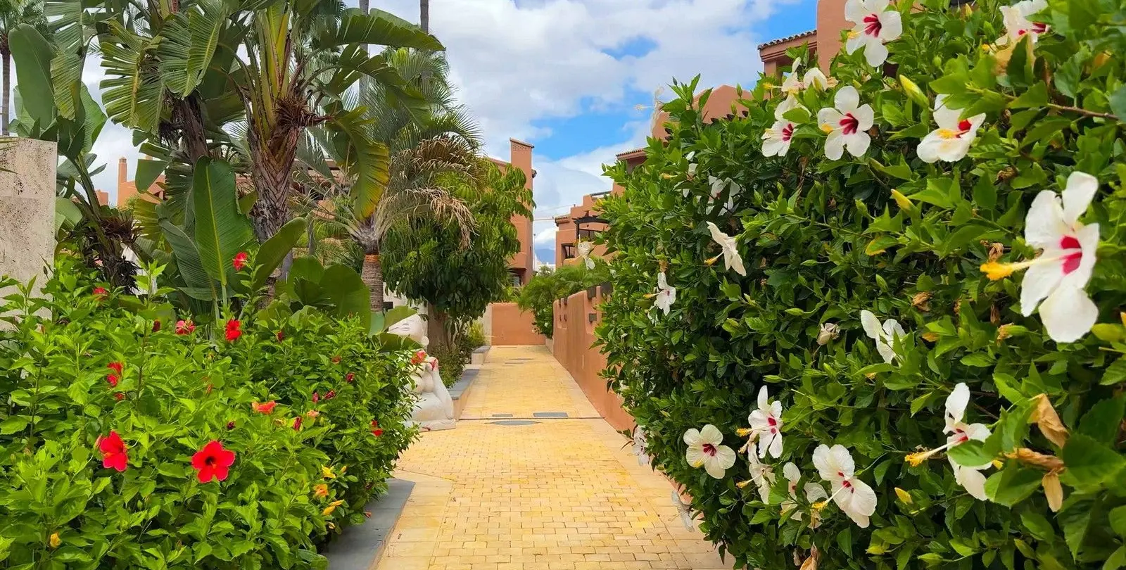 Sale of middle floor apartment in New Golden Mile 33