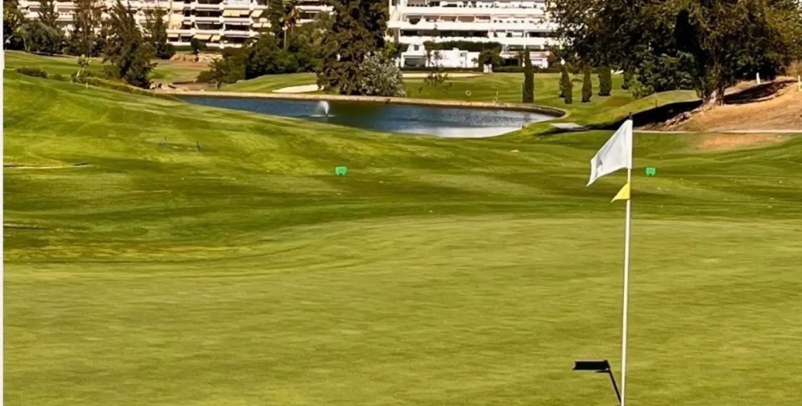 Sale of middle floor apartment in Guadalmina Alta 12