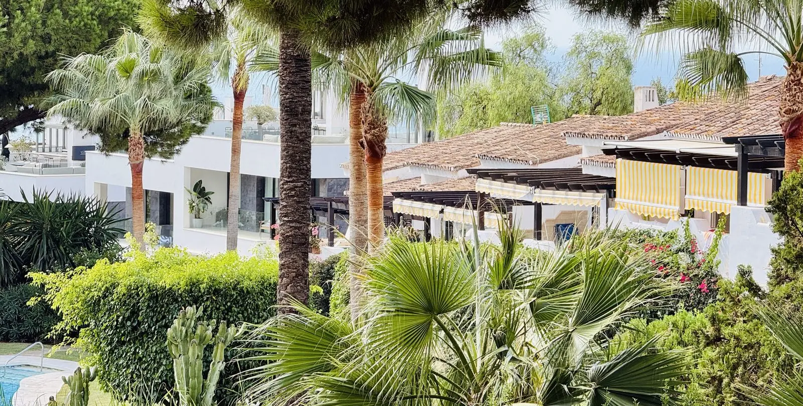 Sale of penthouse in Sierra Blanca 3