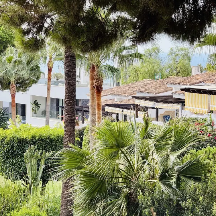 Sale of penthouse in Sierra Blanca