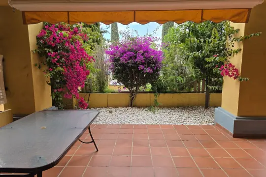 Image 4 thumb