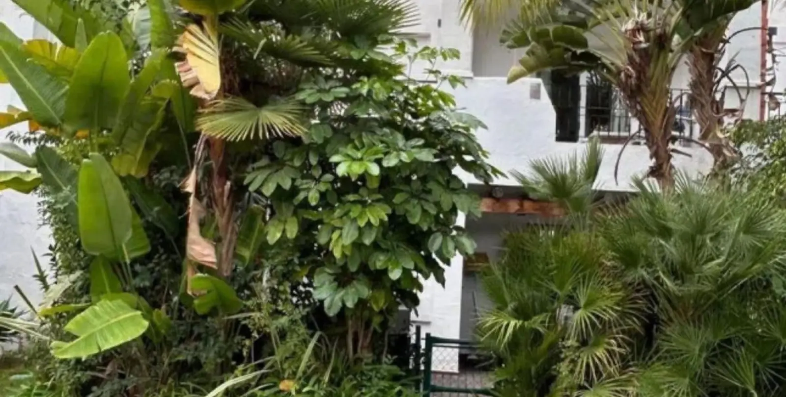 Sale of semi-detached house in Puerto Banús 22