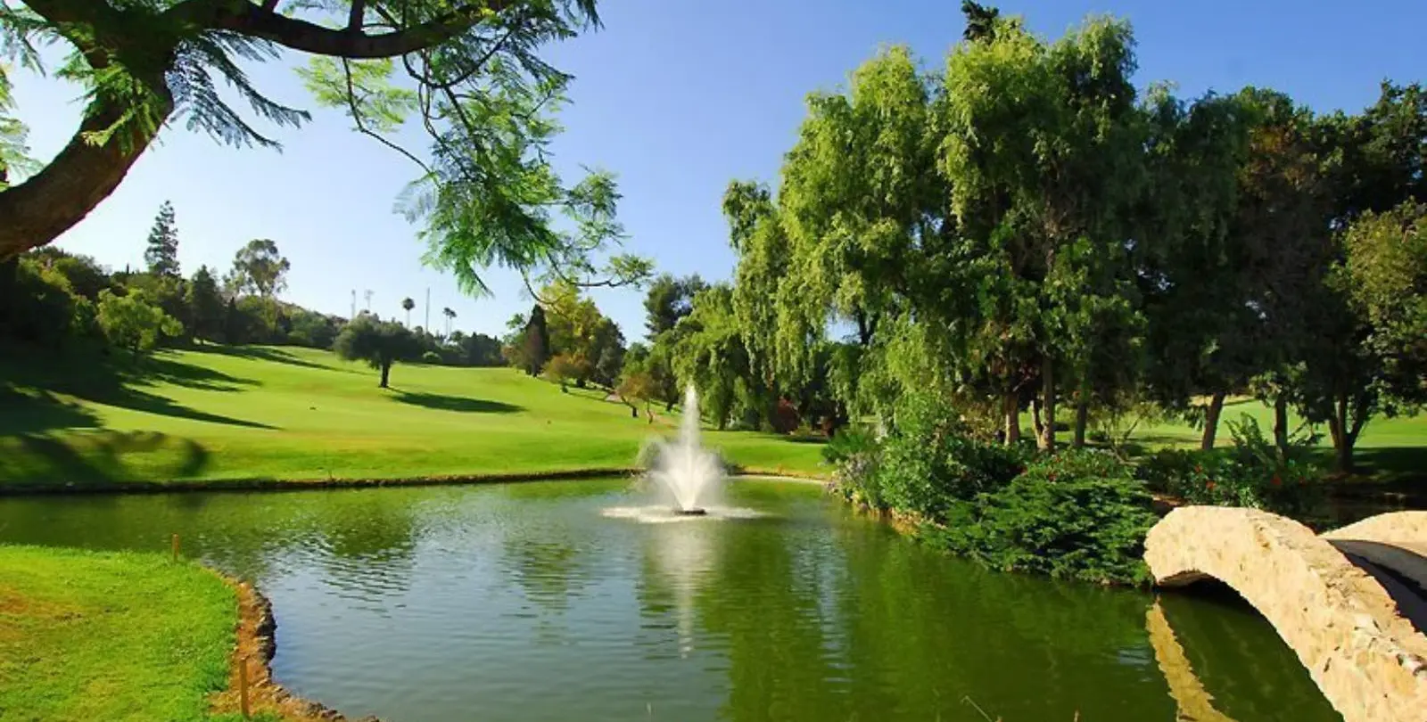 Sale of townhouse in Nueva Andalucía 23