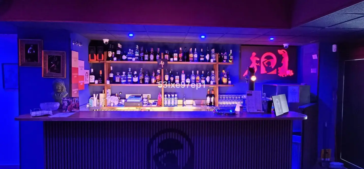 Sale of business in Fuengirola 0