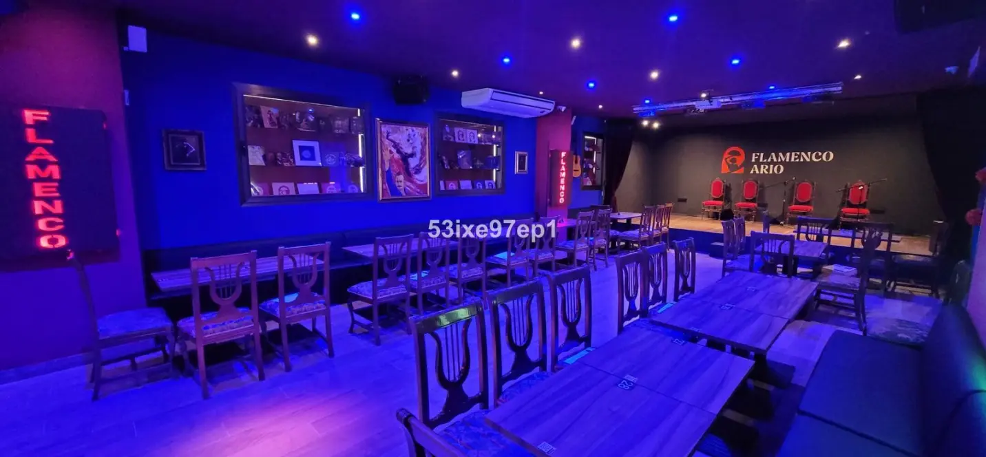 Sale of business in Fuengirola 3