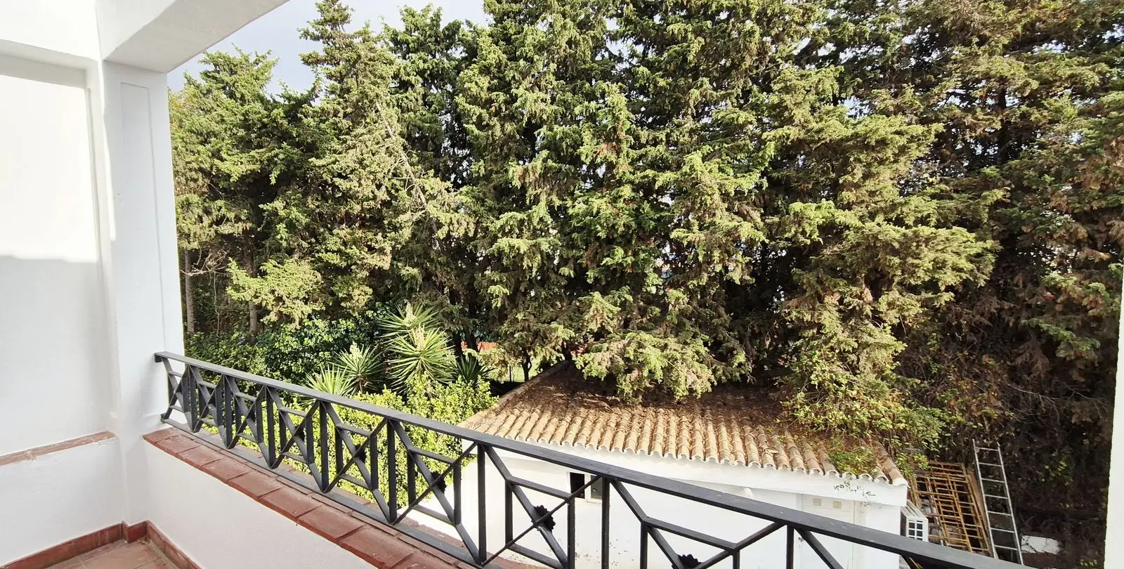Sale of detached villa in Guadalmina Baja 70