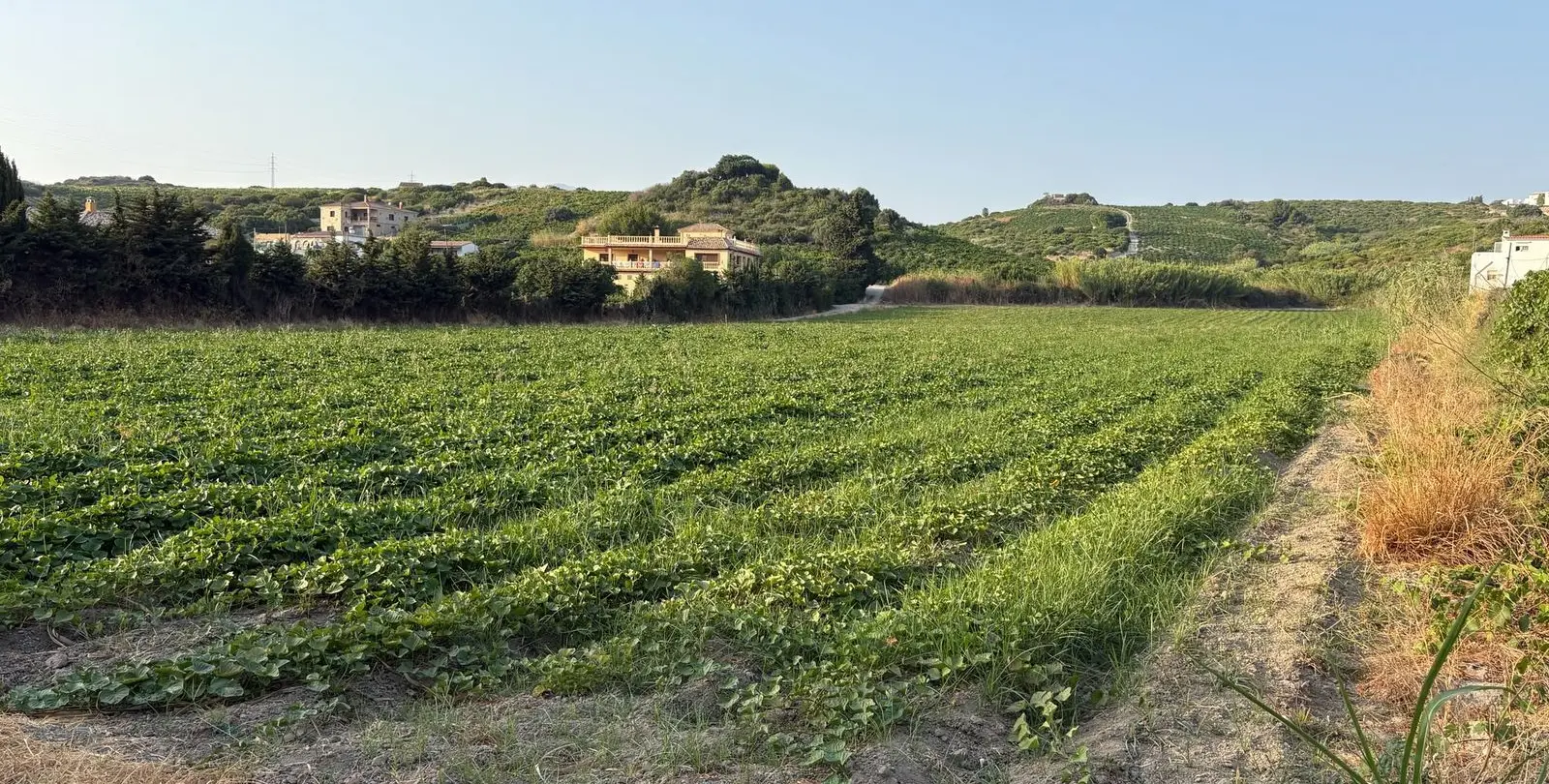Sale of residential plot in Casares 1