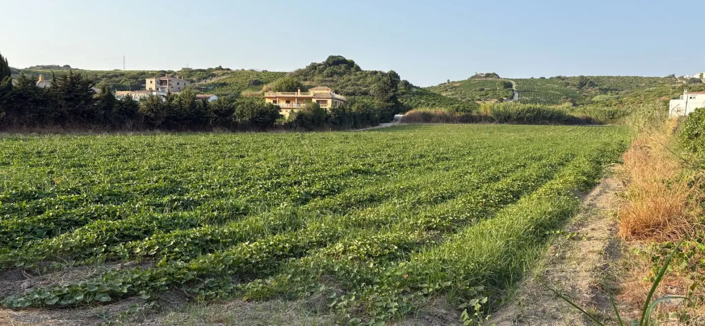 Sale of residential plot in Casares 0