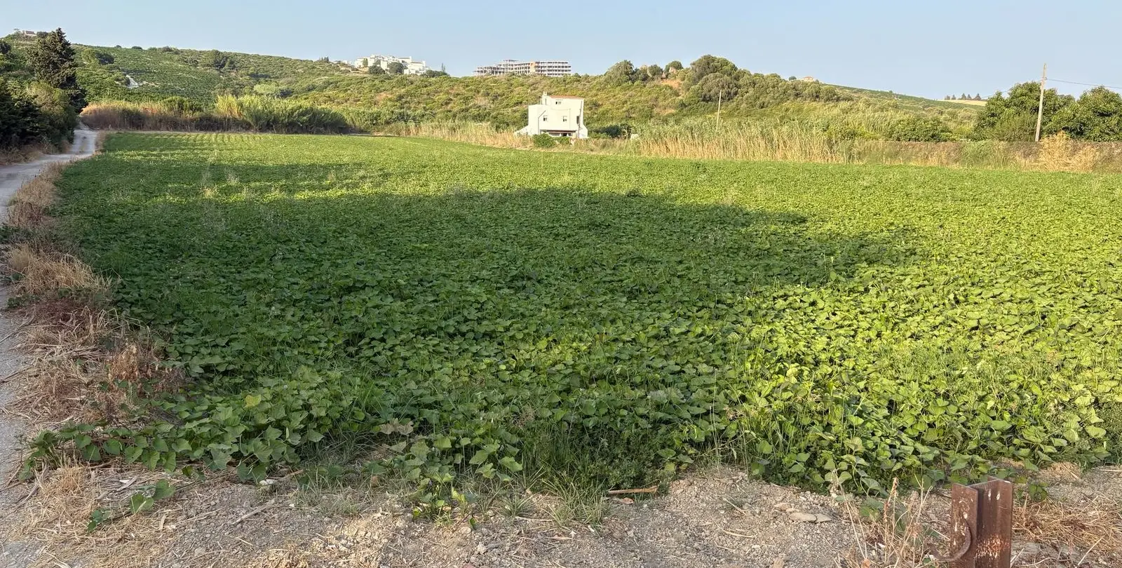 Sale of residential plot in Casares 2