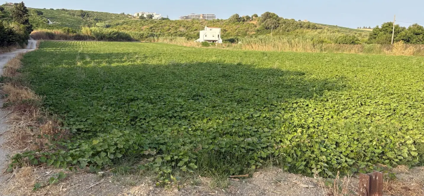 Sale of residential plot in Casares 1