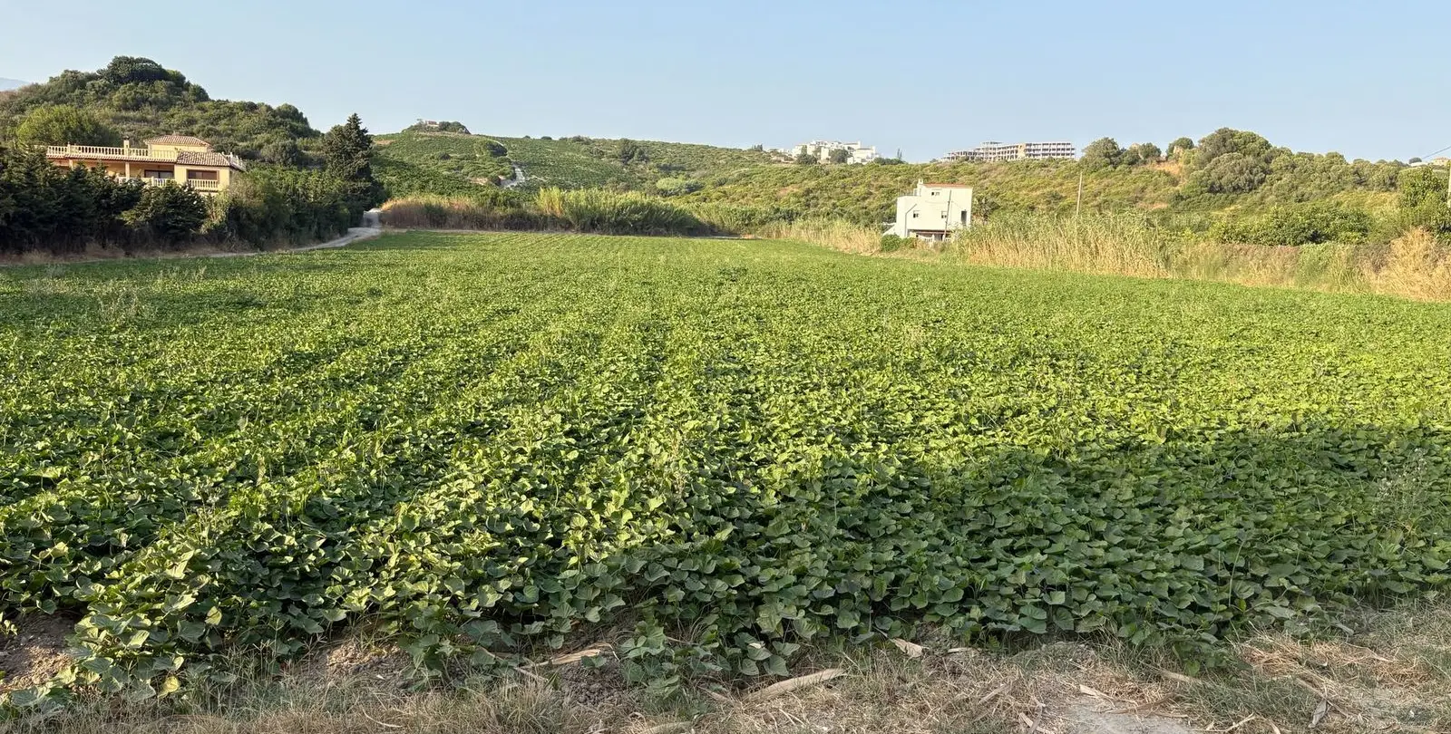 Sale of residential plot in Casares 3