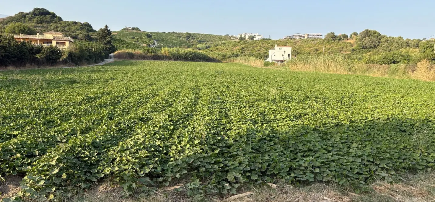 Sale of residential plot in Casares 2