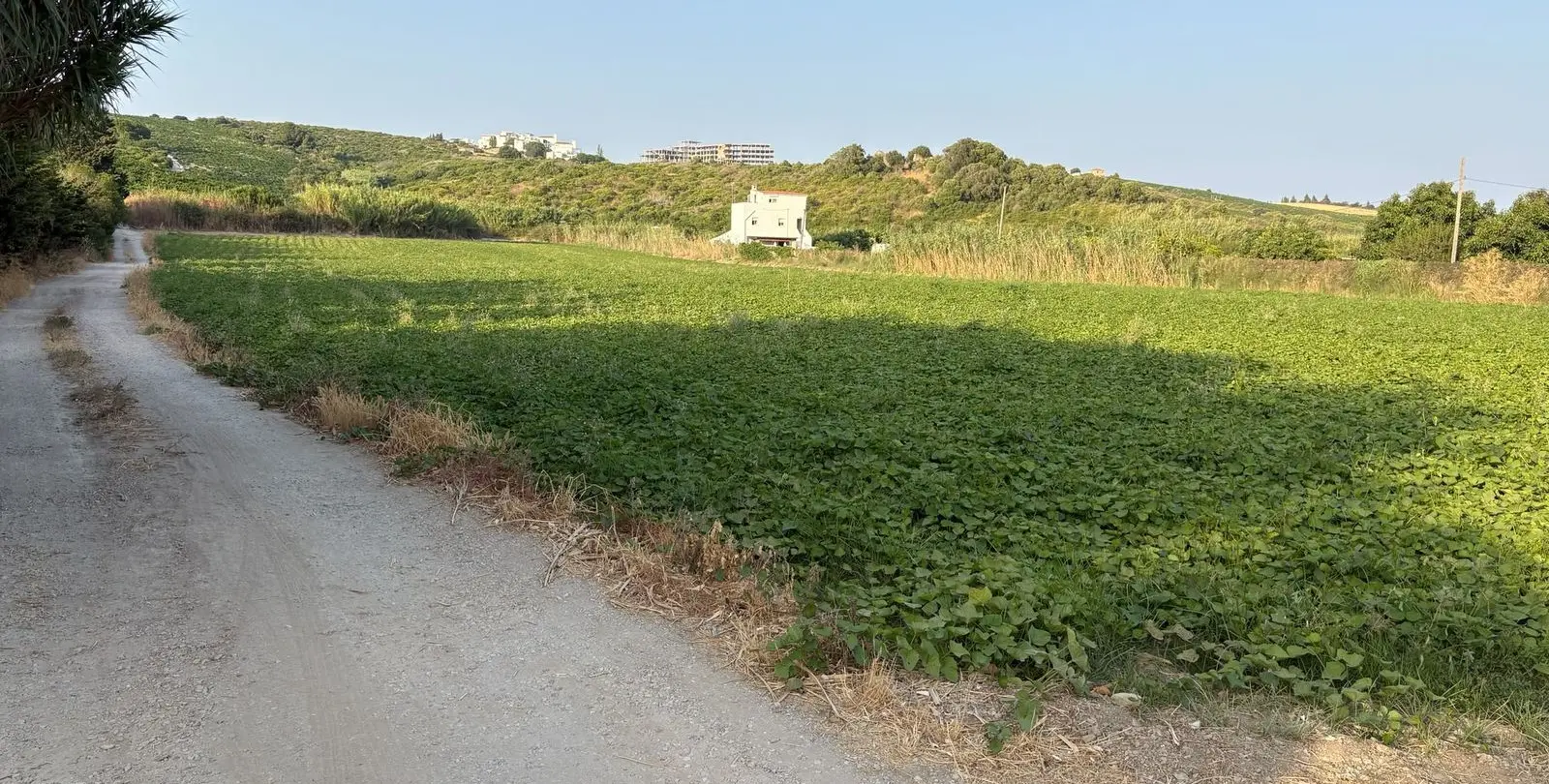 Sale of residential plot in Casares 4