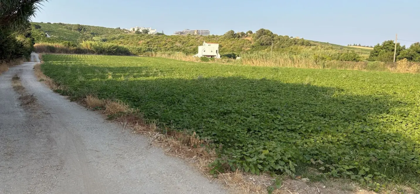 Sale of residential plot in Casares 3