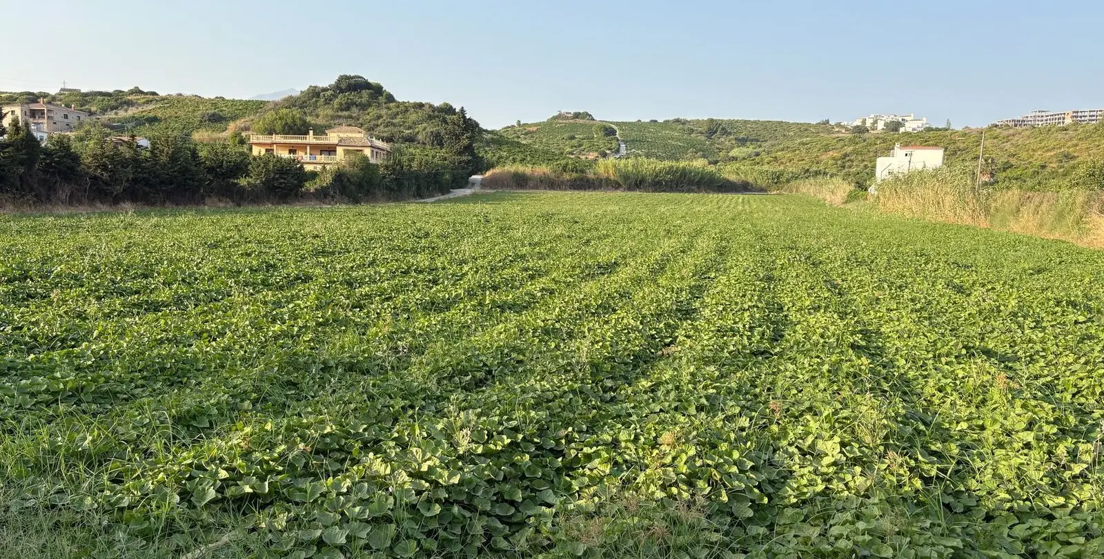 Sale of residential plot in Casares 5