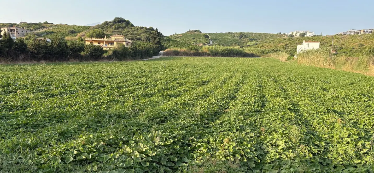 Sale of residential plot in Casares 4