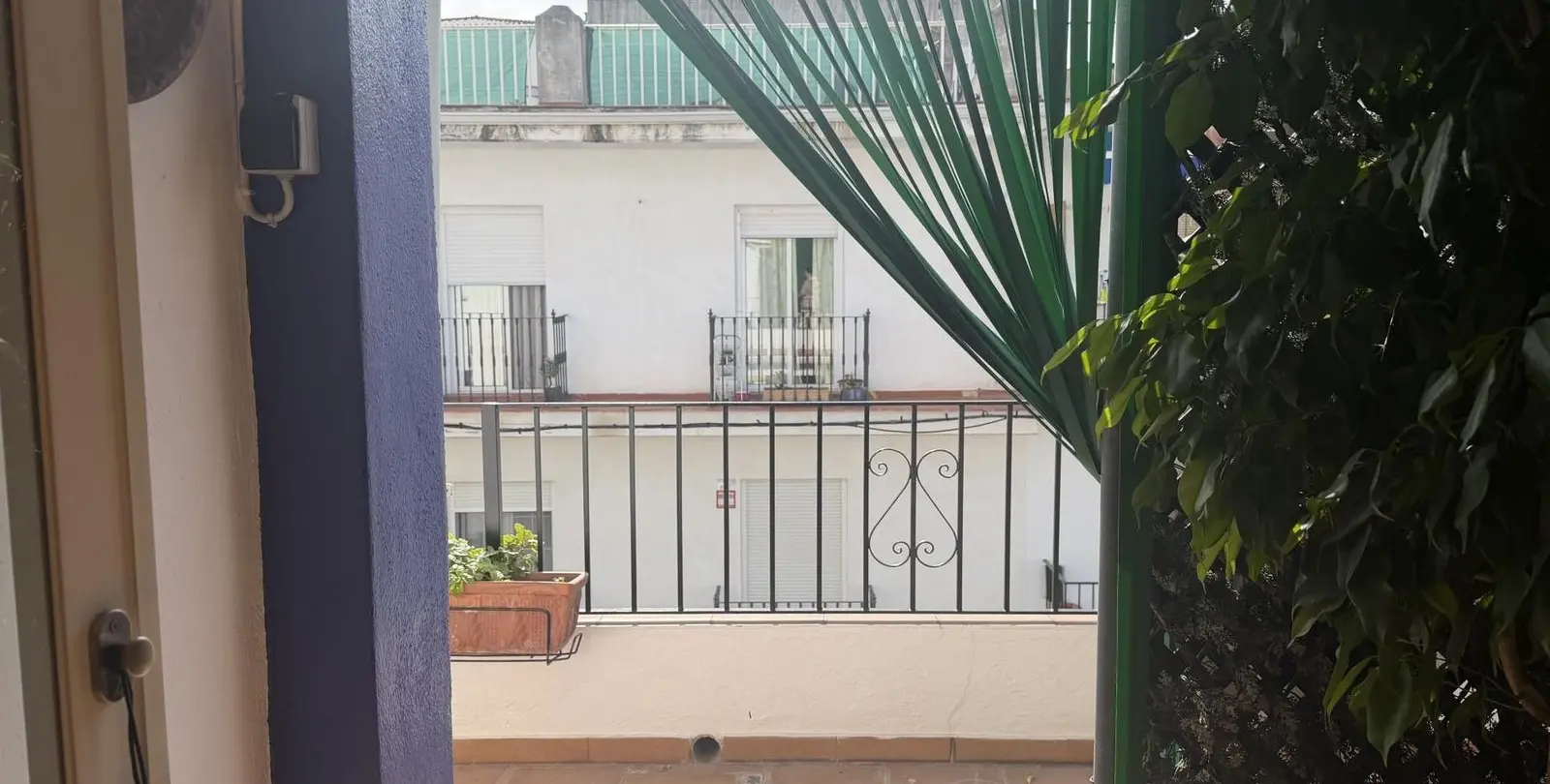 Venta de adosado en San Pedro de Alcántara 3