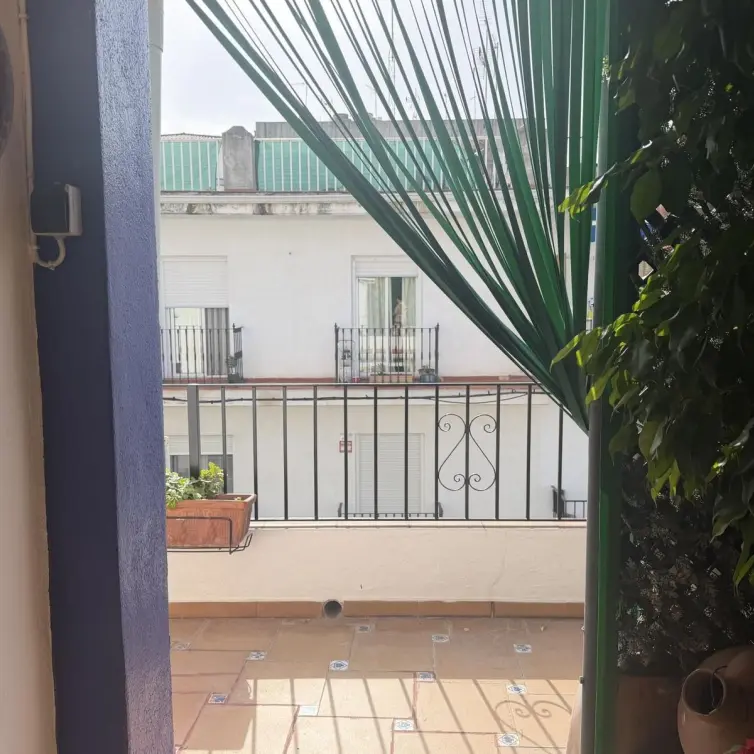 Venta de adosado en San Pedro de Alcántara
