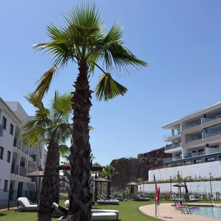Venta de apartamento en planta baja en Fuengirola