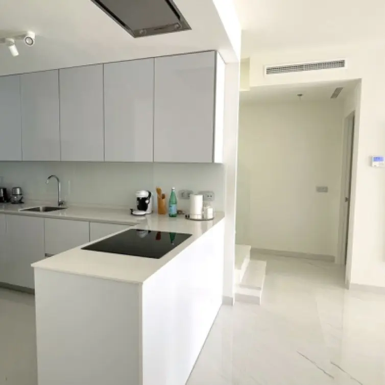 Long-term rent of penthouse duplex in Bel Air