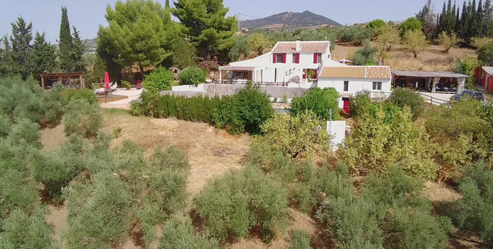 Venta de bed & breakfast en Villanueva De La Concepcion 2
