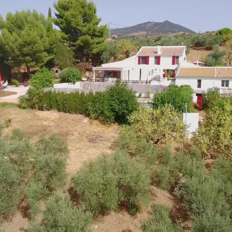 Venta de bed & breakfast en Villanueva De La Concepcion