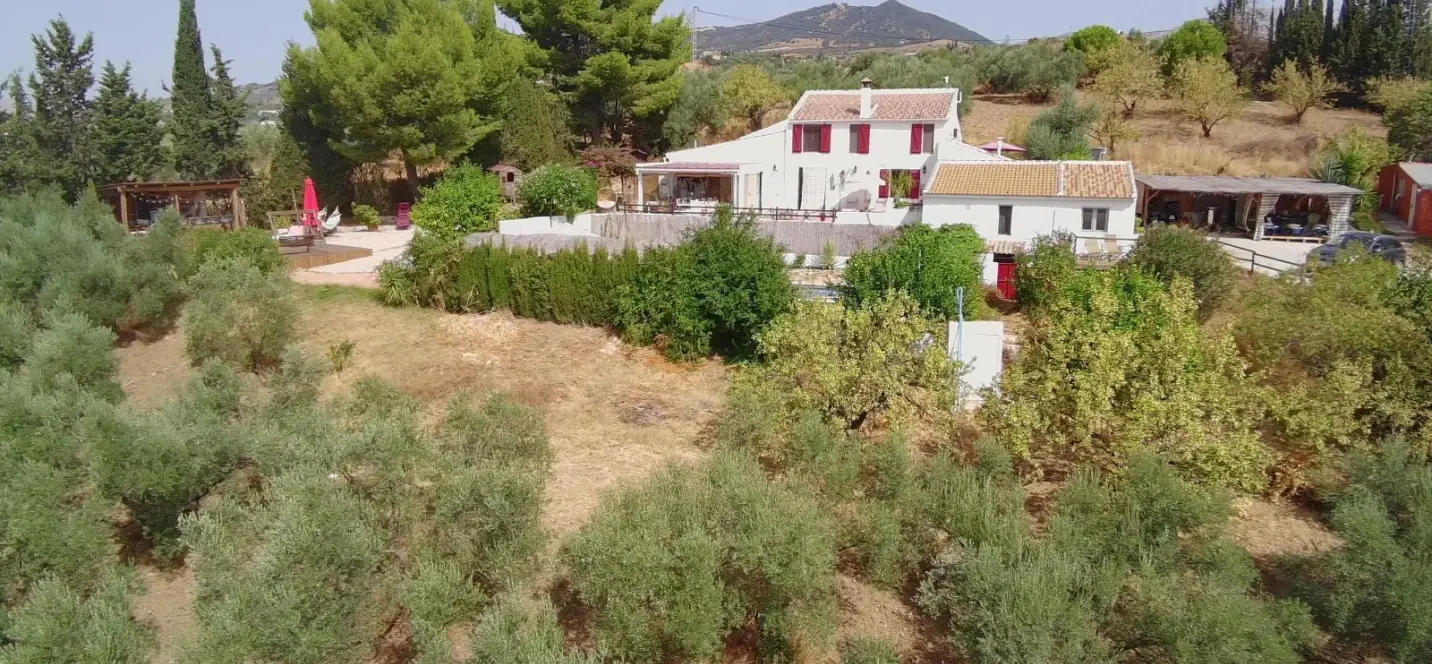 Venta de bed & breakfast en Villanueva De La Concepcion 1