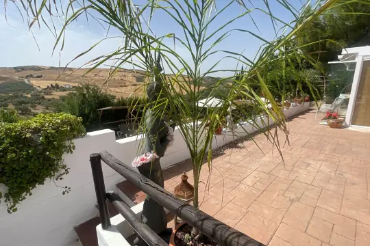 Image 7 thumb