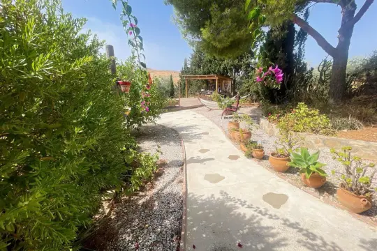Image 9 thumb