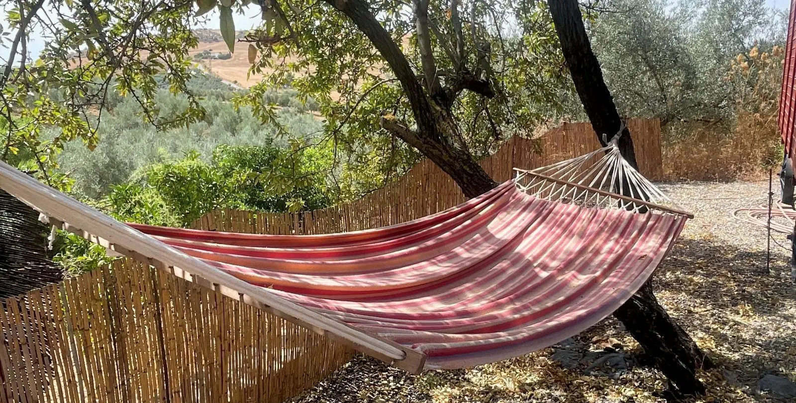Venta de bed & breakfast en Villanueva De La Concepcion 41