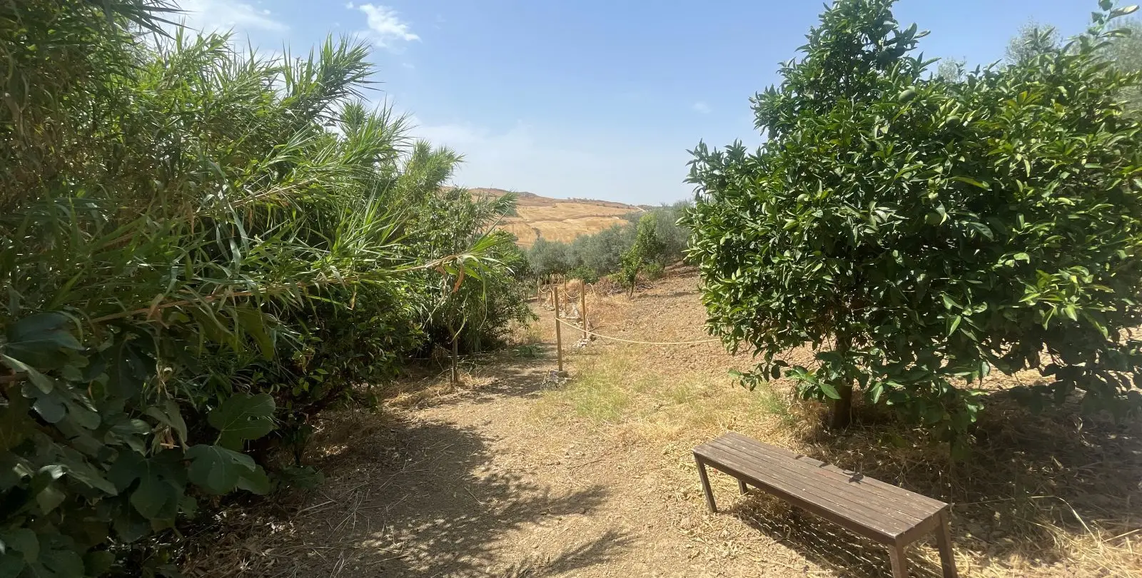 Venta de bed & breakfast en Villanueva De La Concepcion 47