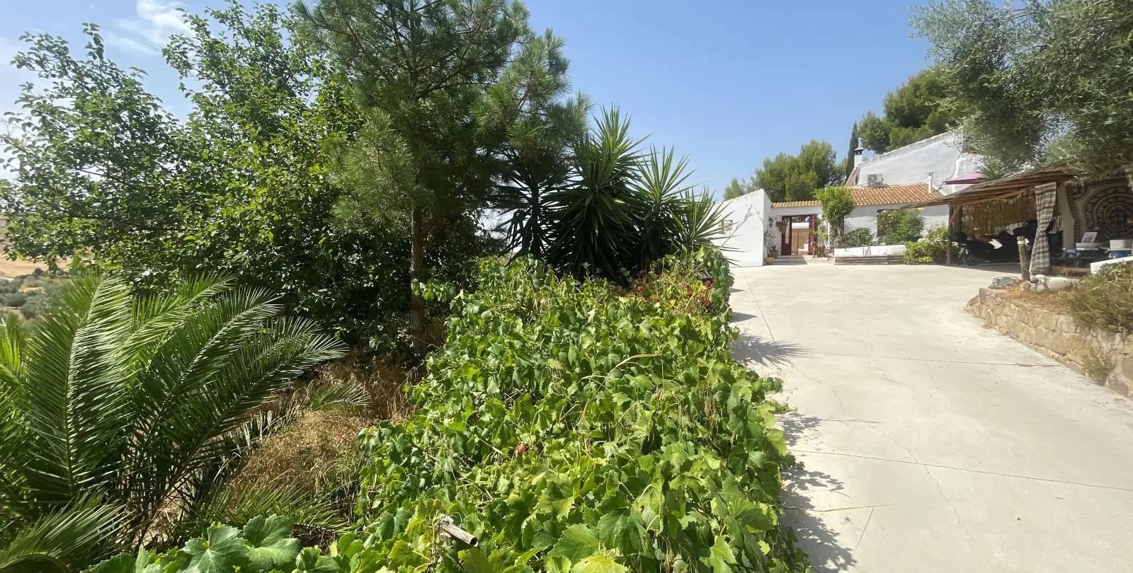 Venta de bed & breakfast en Villanueva De La Concepcion 51