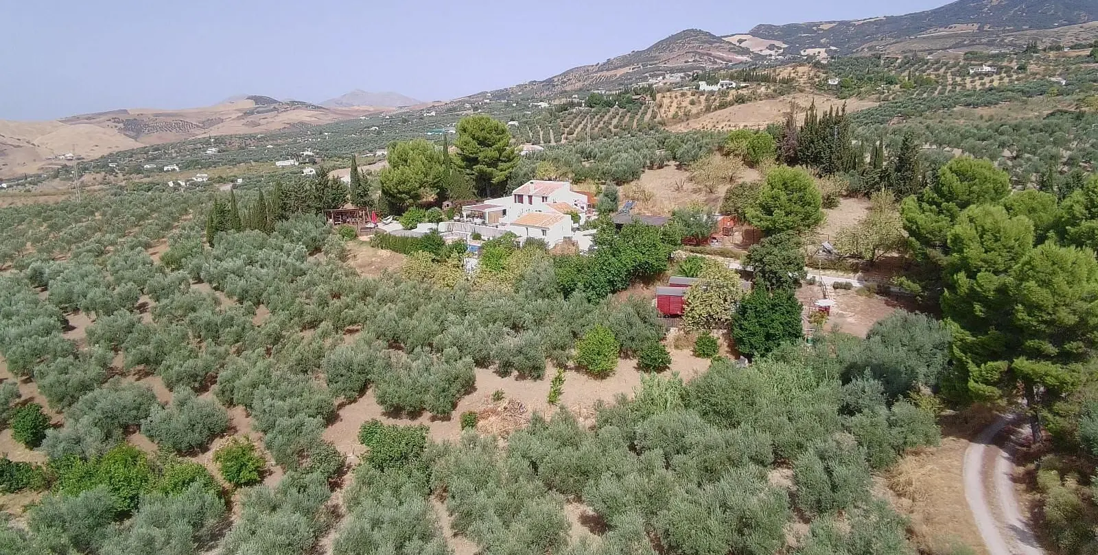 Venta de bed & breakfast en Villanueva De La Concepcion 52
