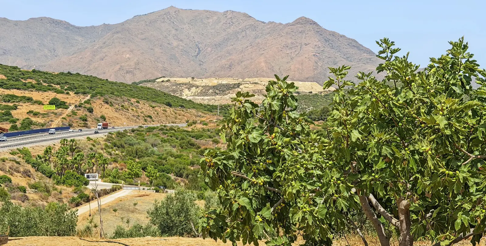 Продажа финки в Casares 44