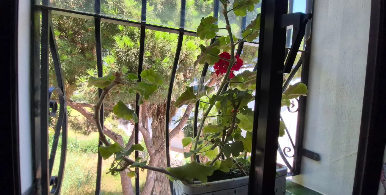 Sale of middle floor apartment in Mijas 40