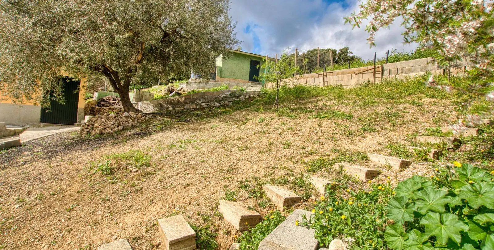 Sale of finca - cortijo in Alcaucín 45