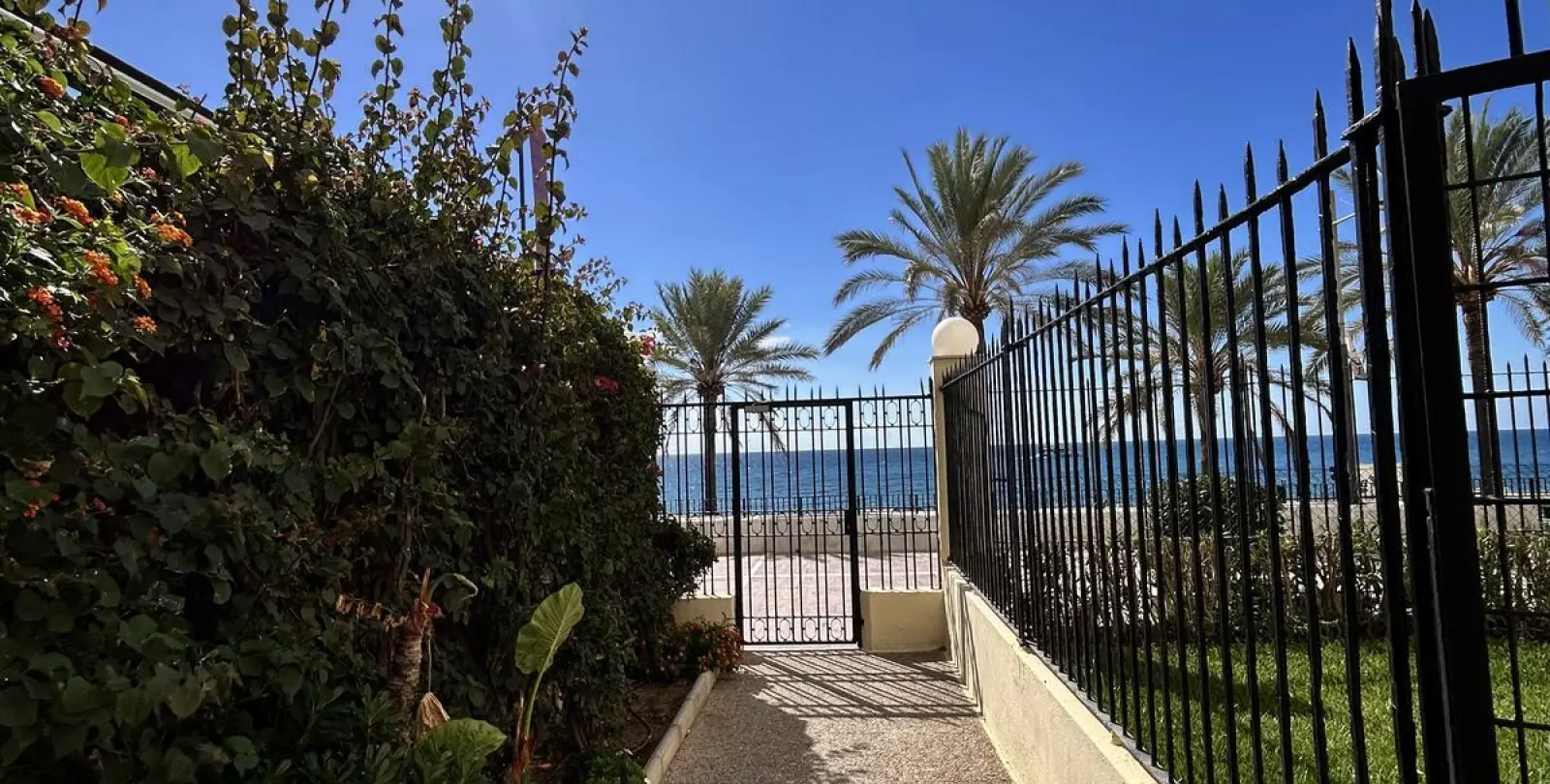 Продажа студии в Marbella 9