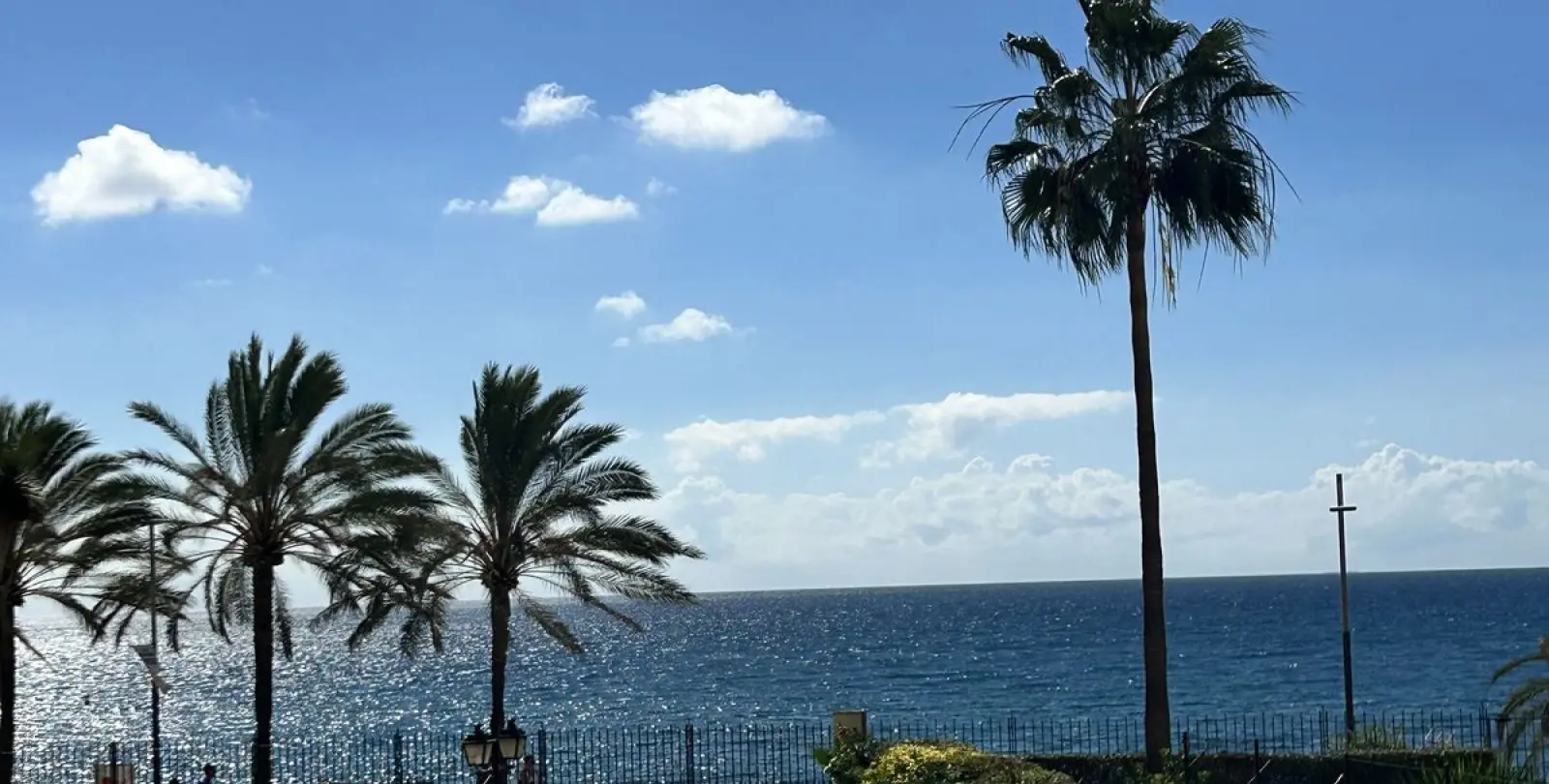 Продажа студии в Marbella 12