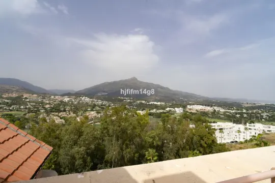 Image 4 thumb