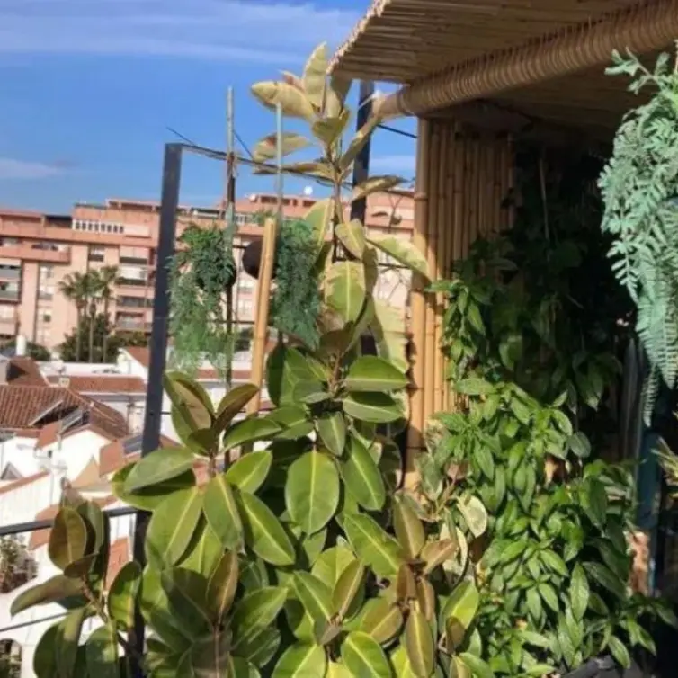 Продажа пентхауса в Estepona