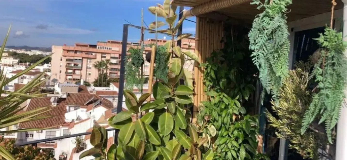 Продажа пентхауса в Estepona 4